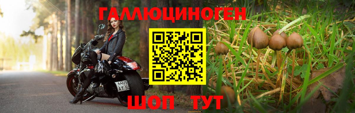 Галлюциногенные грибы ЛСД  Вход с VPN  Реж 