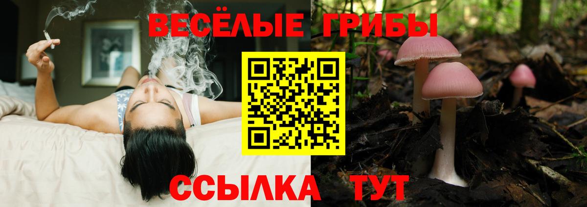 Псилоцибиновые грибы Cubensis Реж